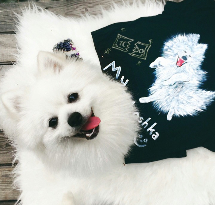 Песик