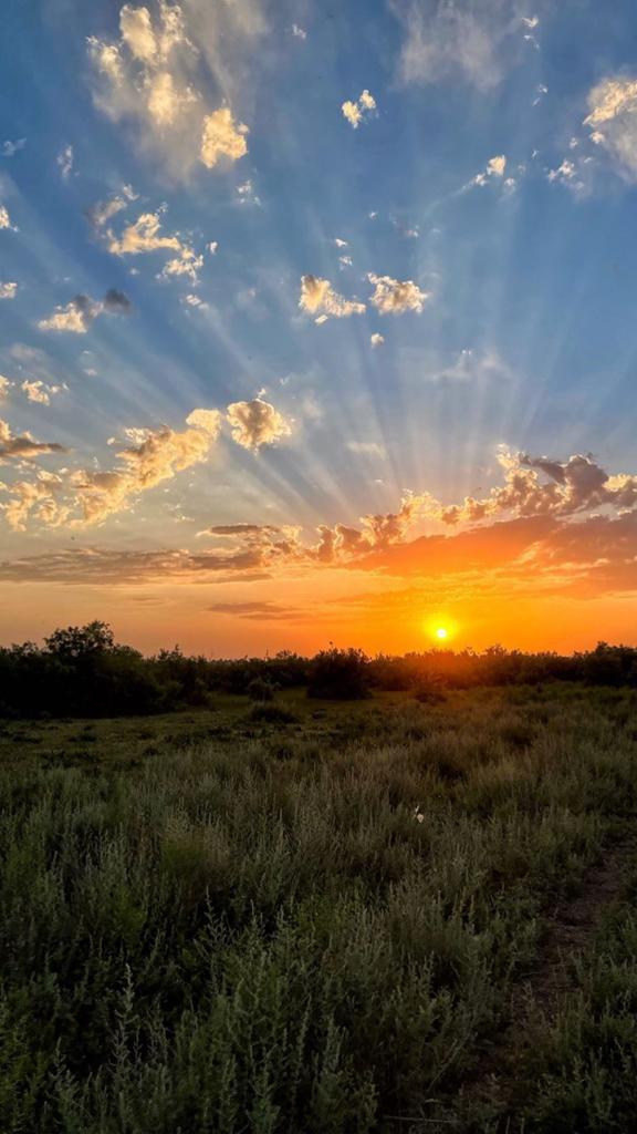 The beautiful sunset ?