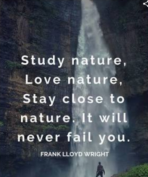 love with nature.?