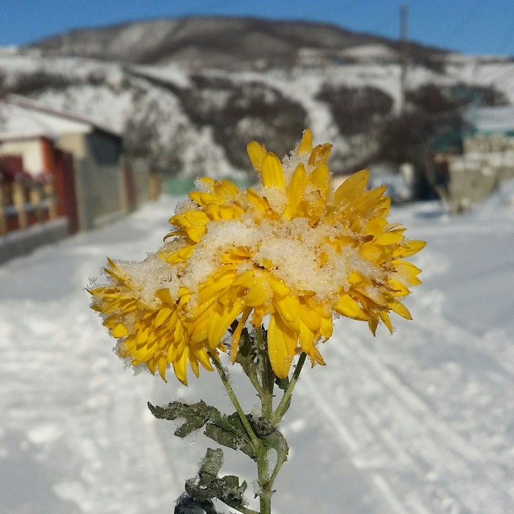 The Dagestan's fairytale.