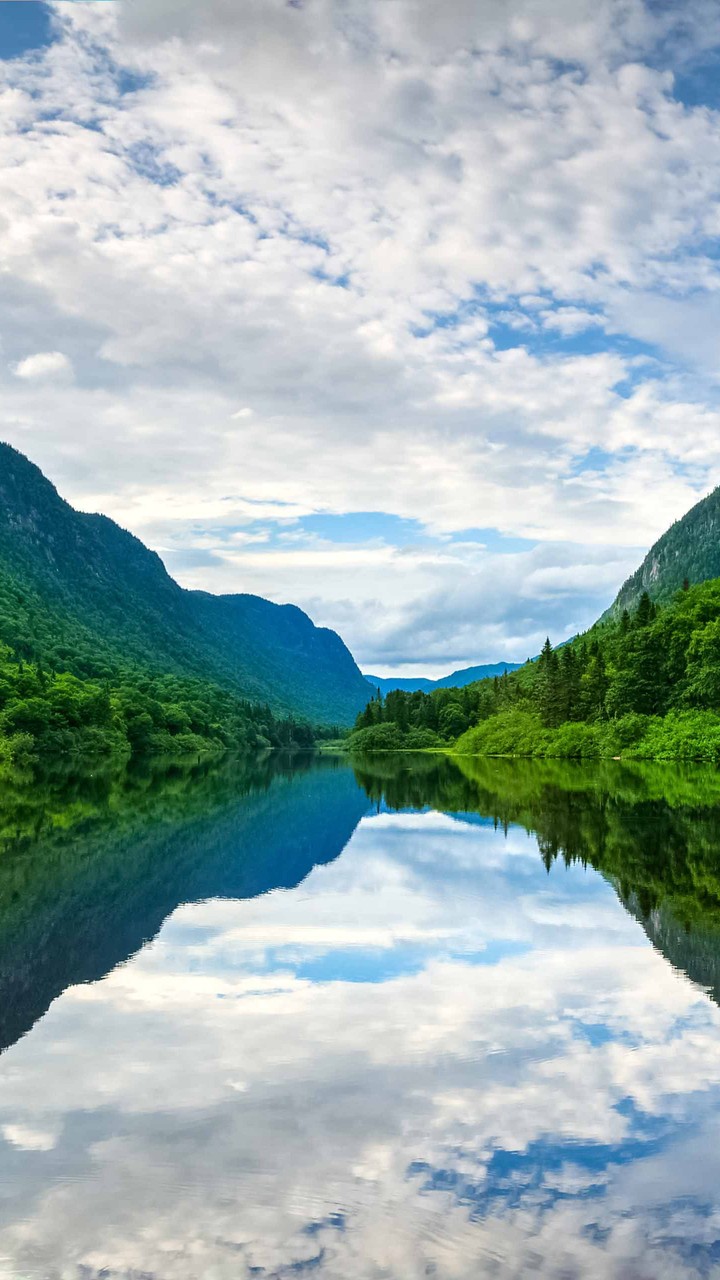 green landscape