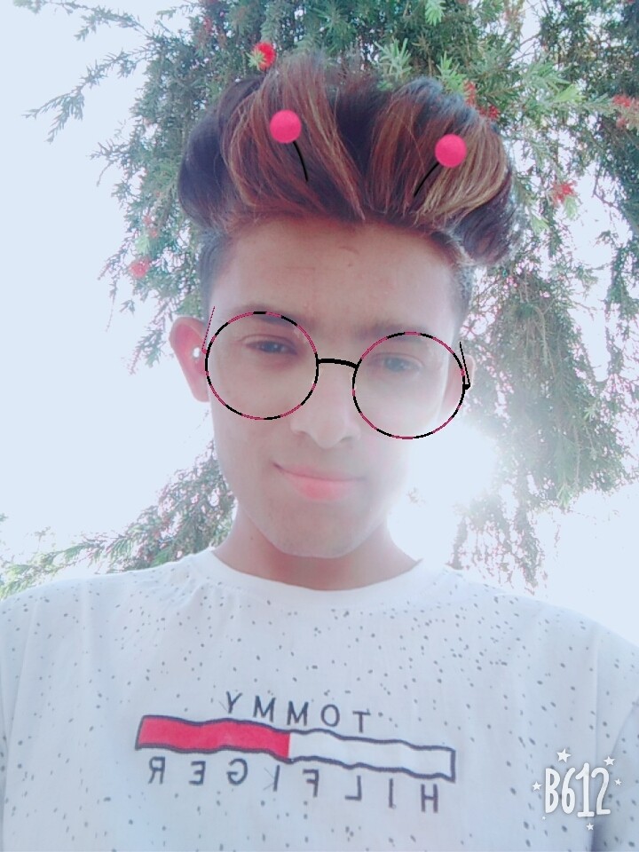 bapu