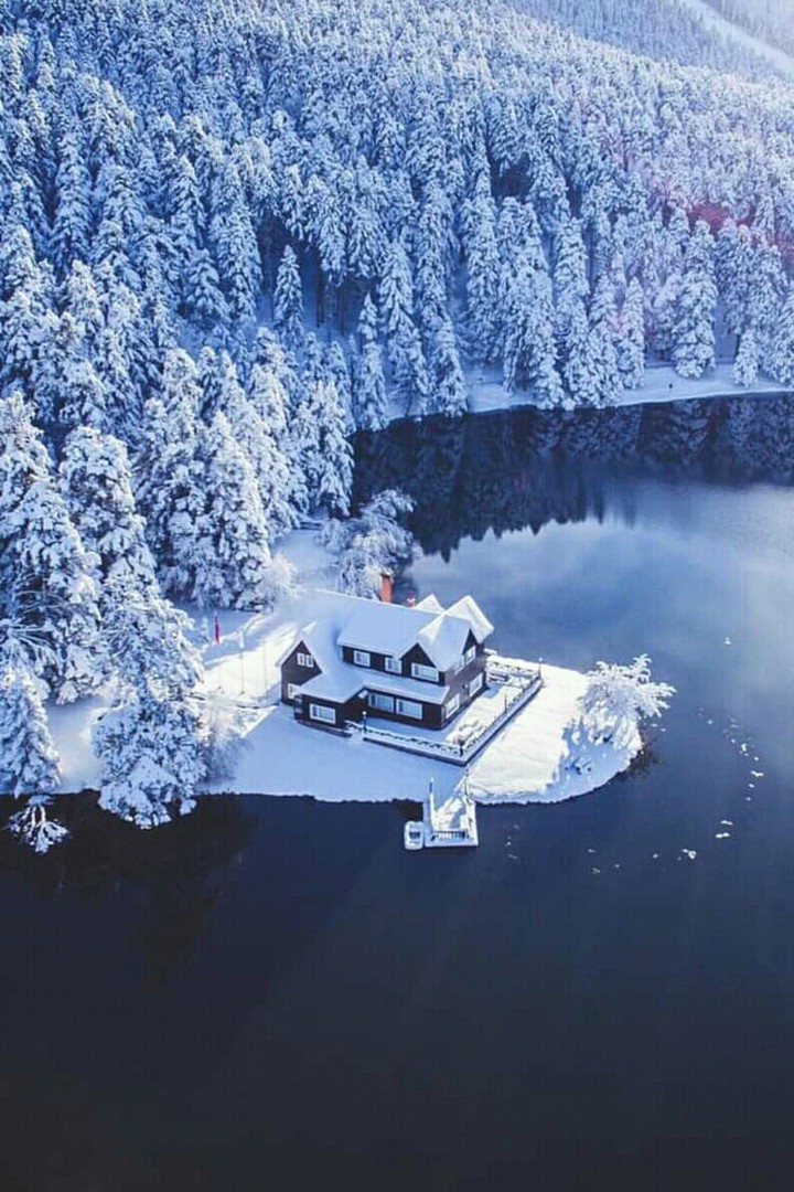 dreamland
