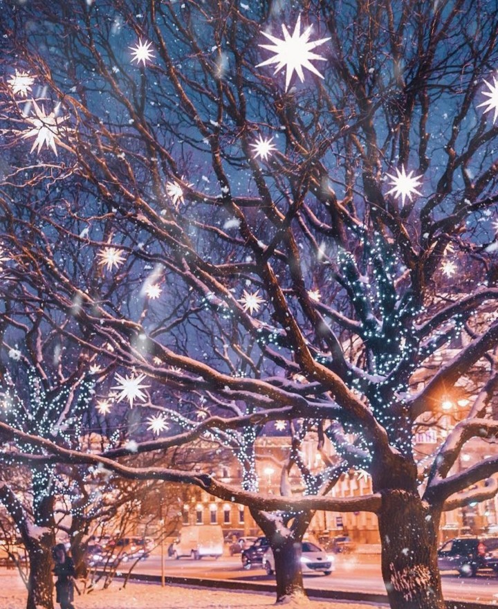 Winter