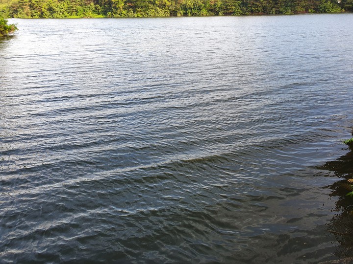 Serene Waters