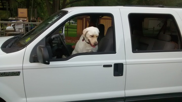 Driving