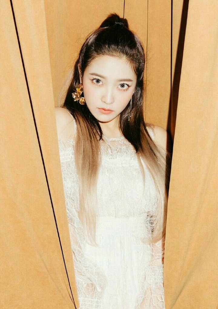 Red Velvet*
