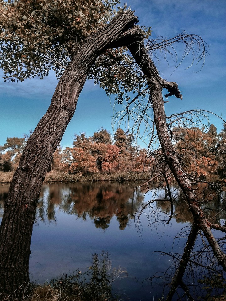 Beautiful nature