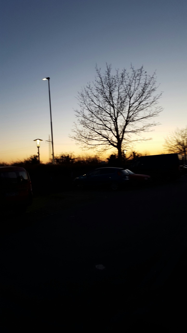 sunset
