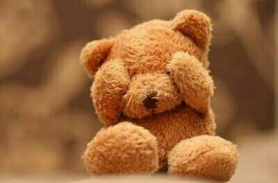 Teddy Bear