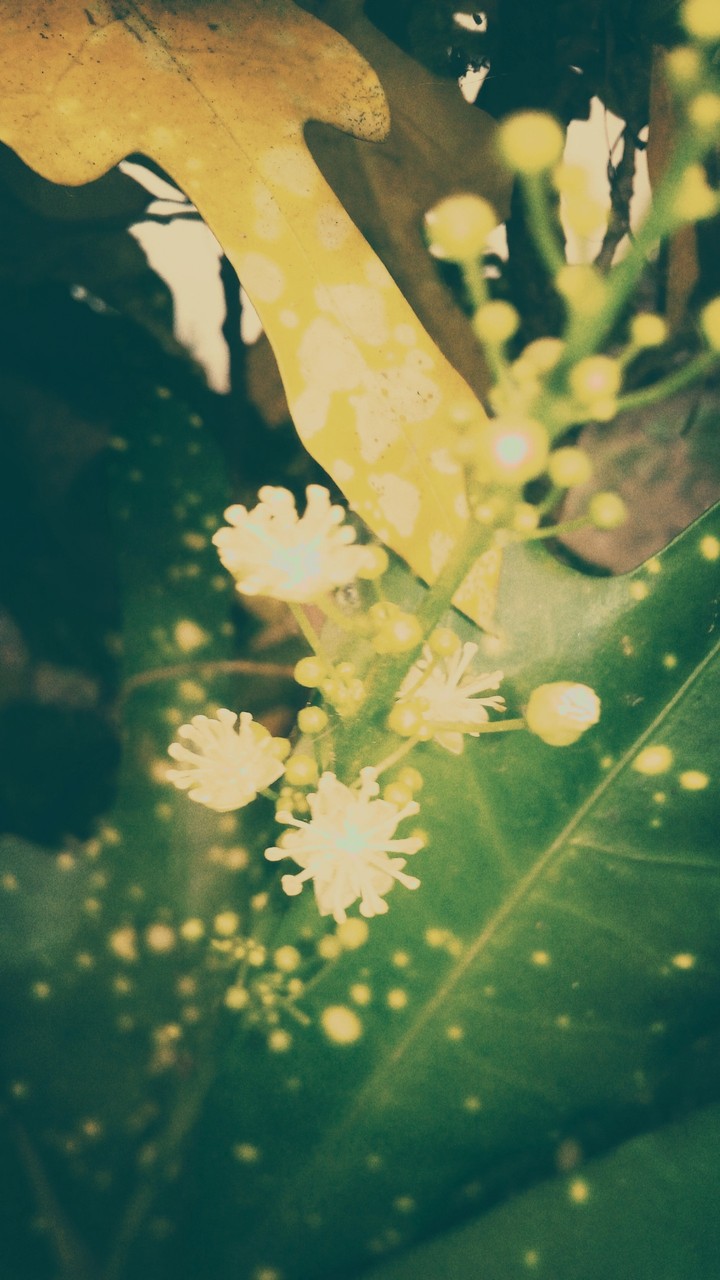 #Green