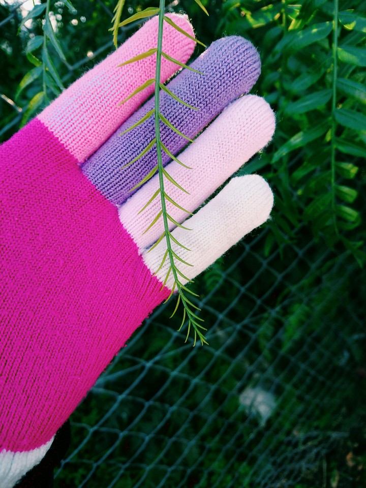 winter