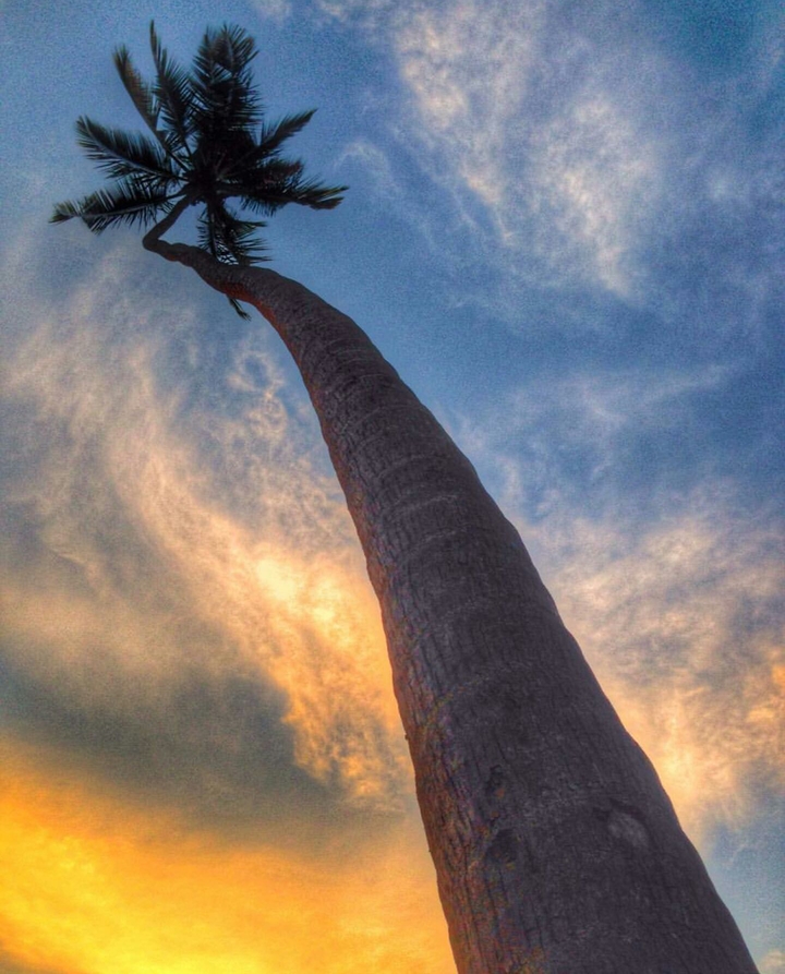 Bentota Srilanka