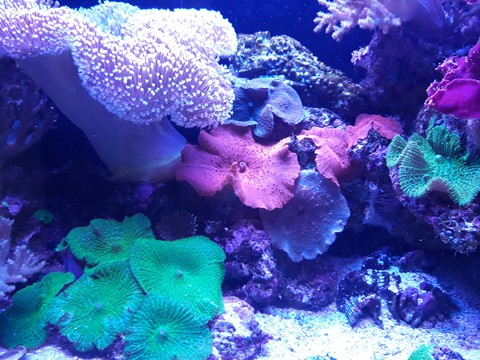 Colorful