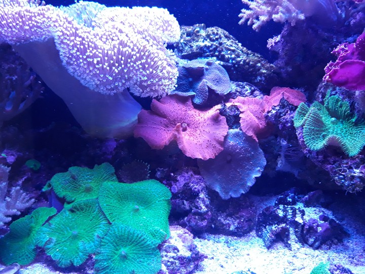 Colorful