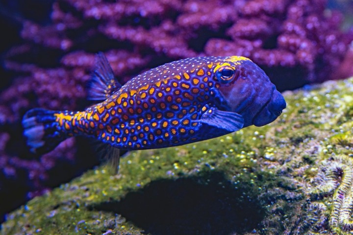 Electrifying look....