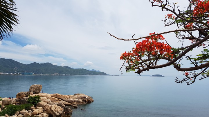 Husband Island