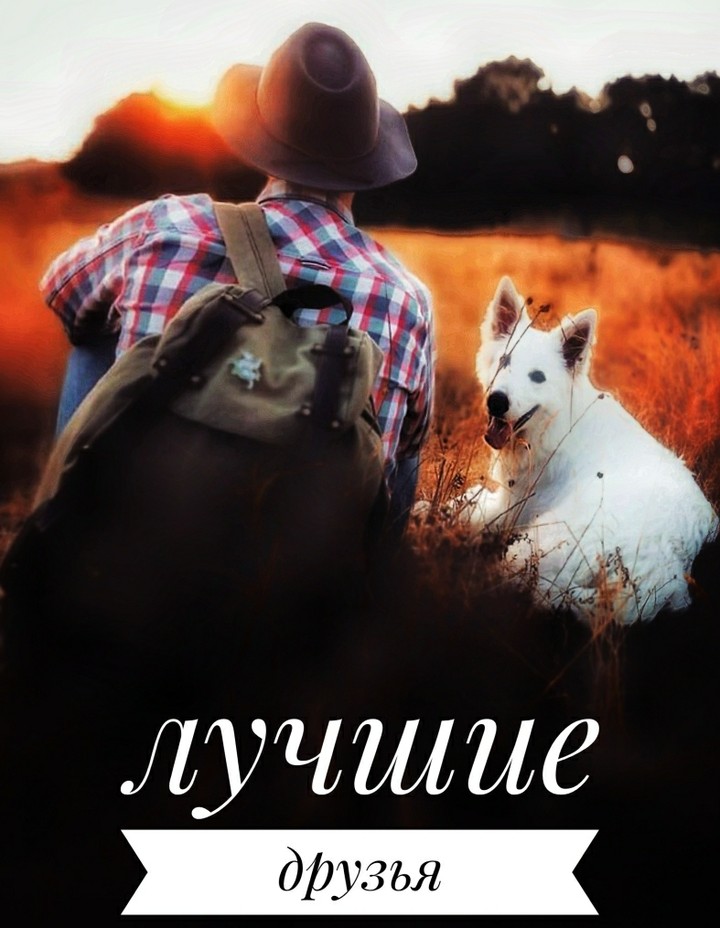 лучшие друзья