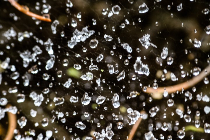 snow-raindrops
