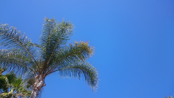 San Diego sky