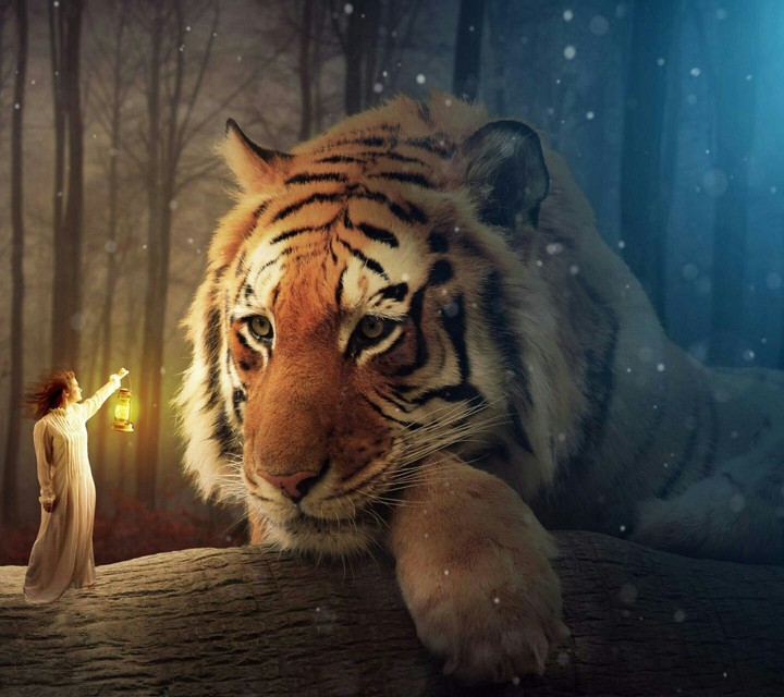 Animal