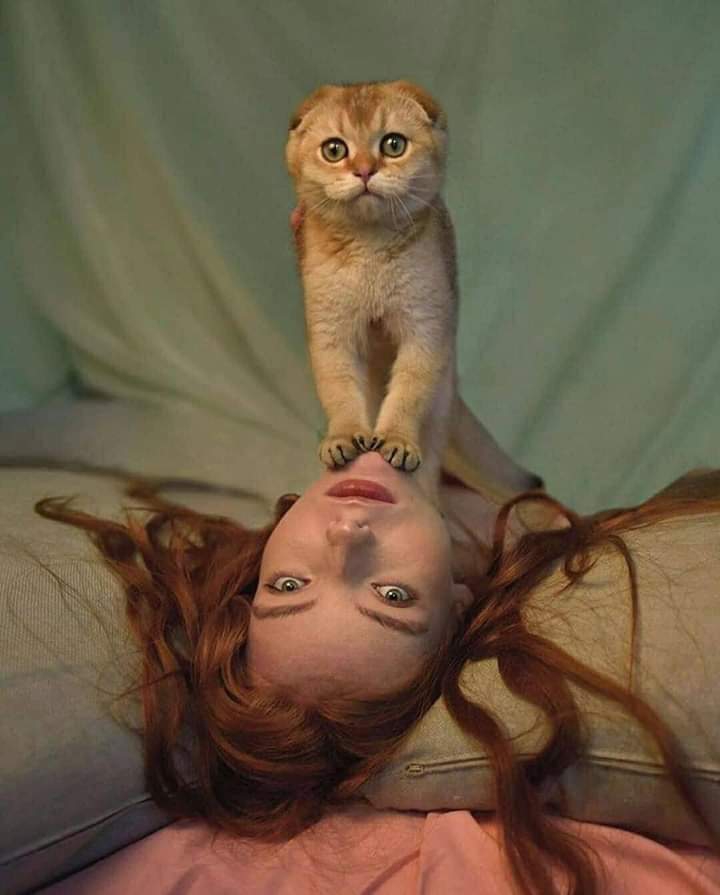 *