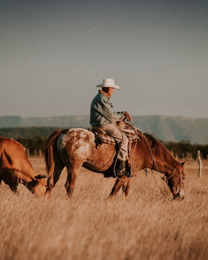 Man n horse