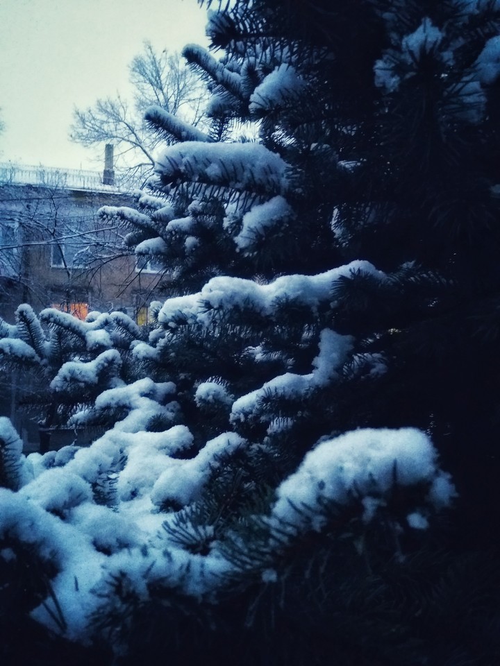 Snow