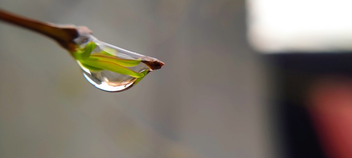 Drop