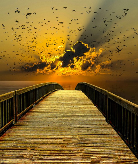 sunset, morning duvar kağıtları