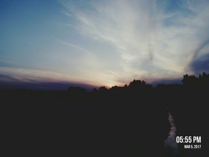the setting sun