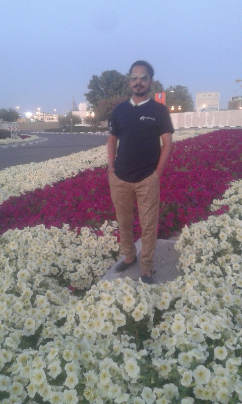 papéis de parede plant, flower