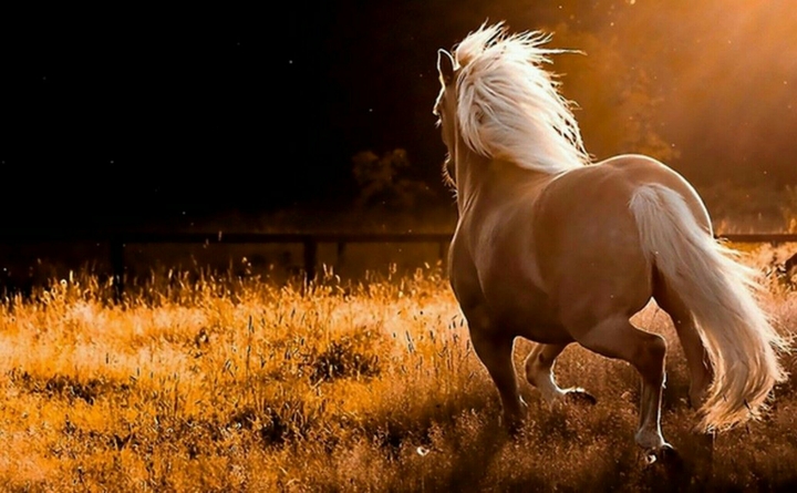 White Horse.