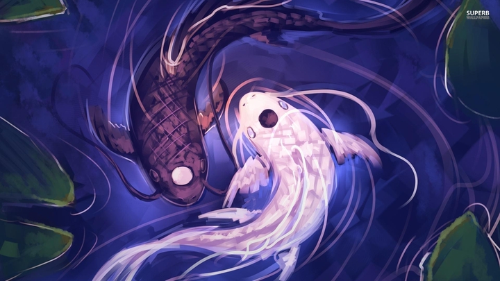 yin and yang