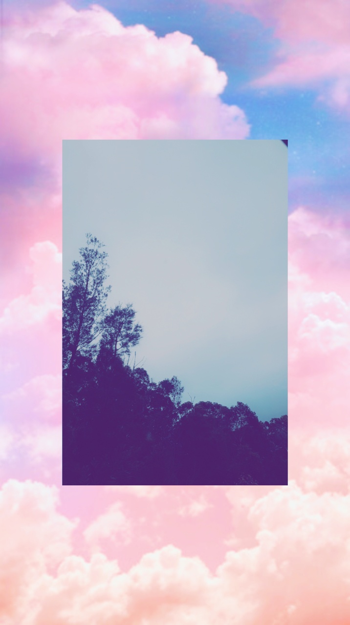 #vix_photographyrandomn border tree