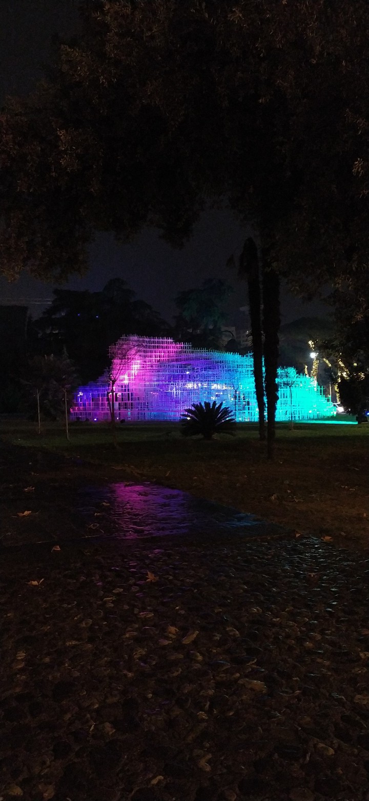 Tirana