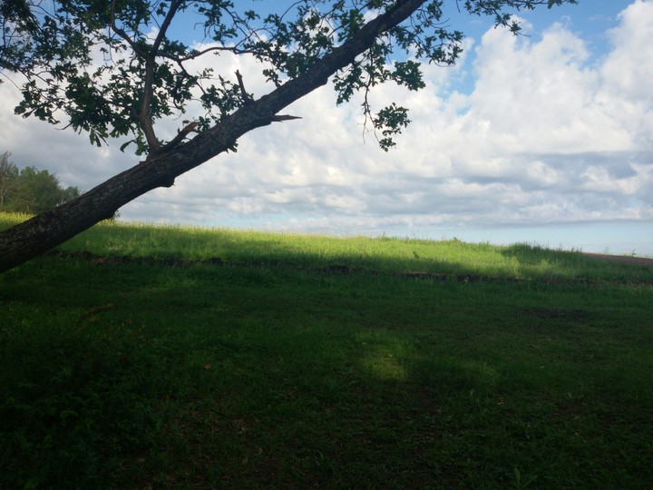 Edge tree