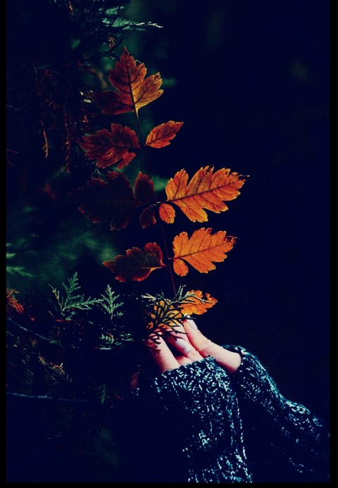 Nature...