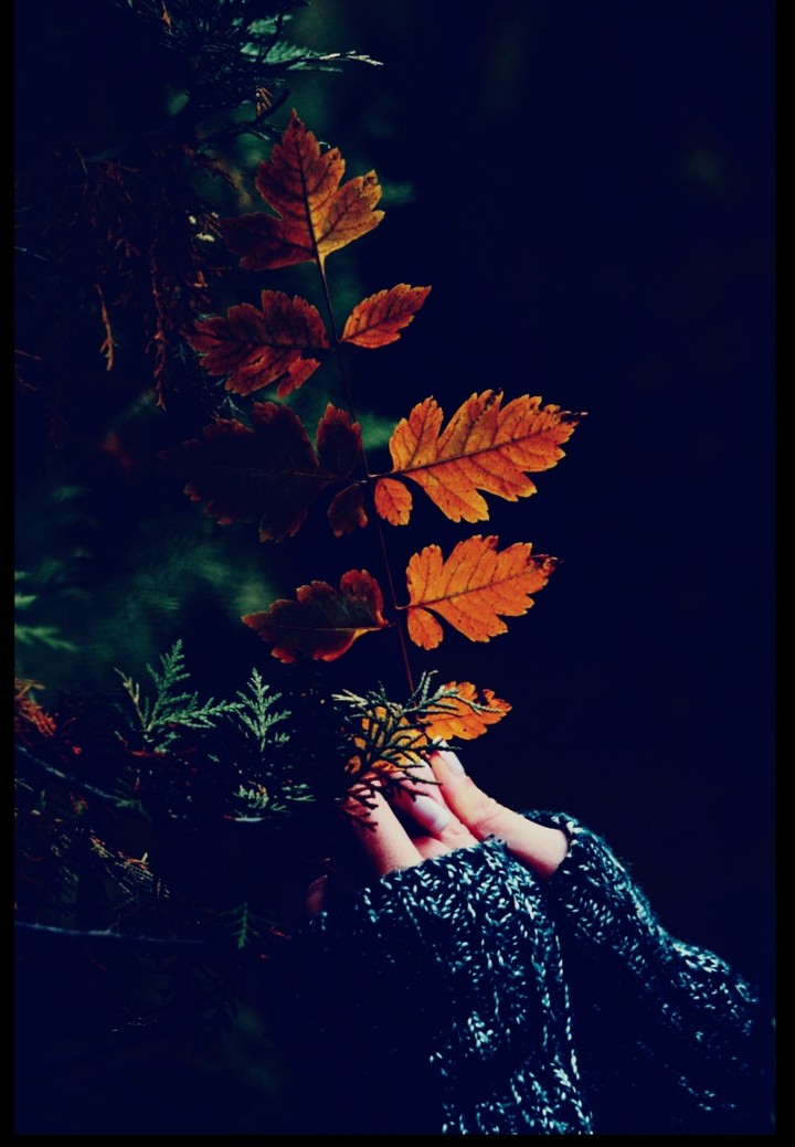 Nature...
