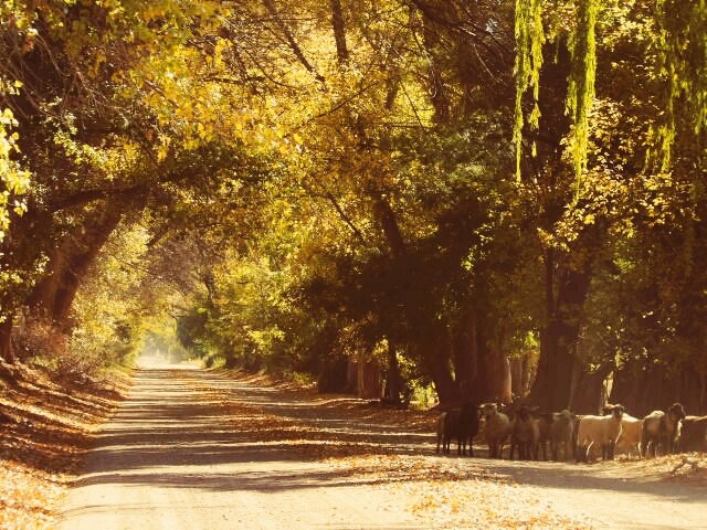 Otoño
