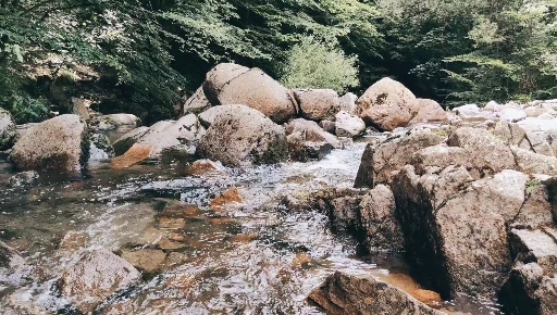 the wild river