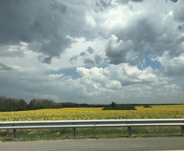 summer road