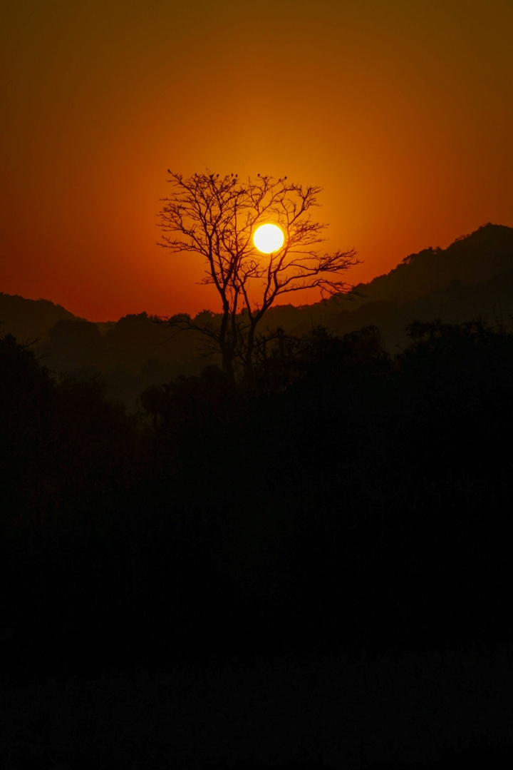 Sunrise