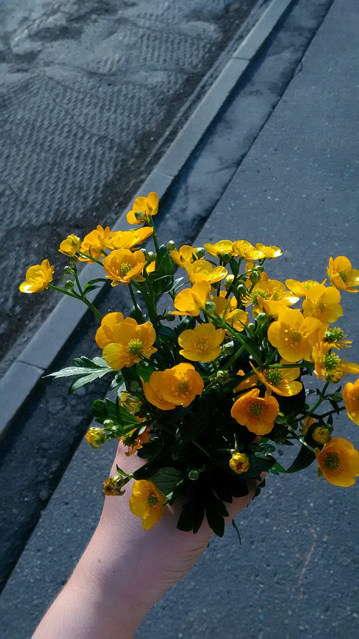 ?