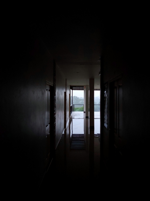 lonely day