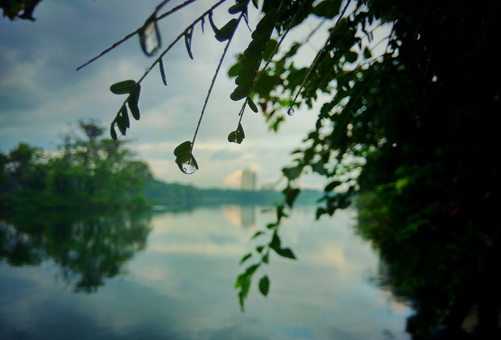 rain