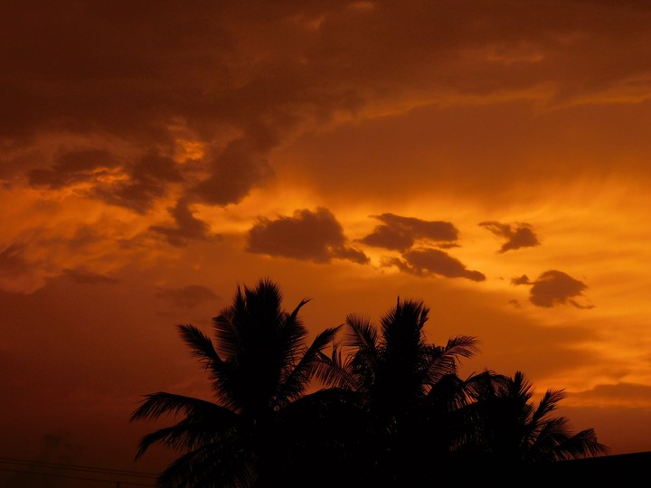 dusk