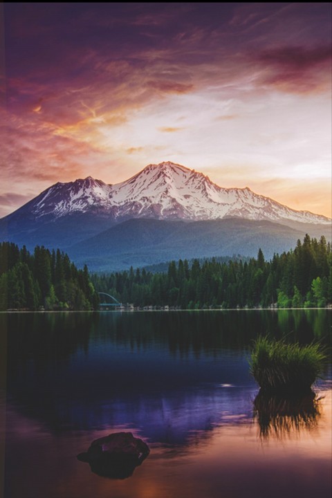 nature