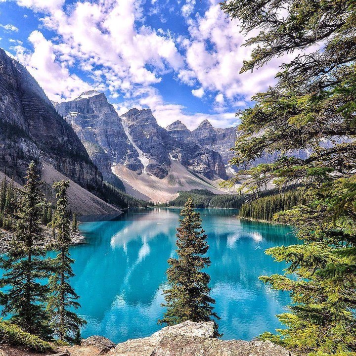 alberta