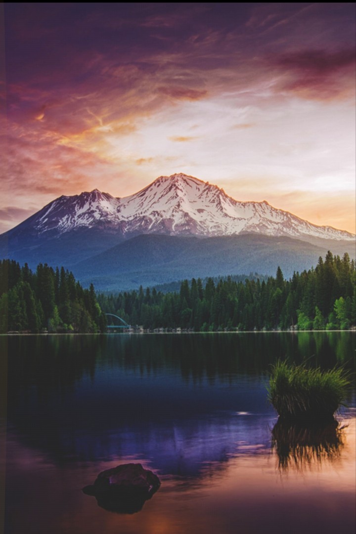 nature